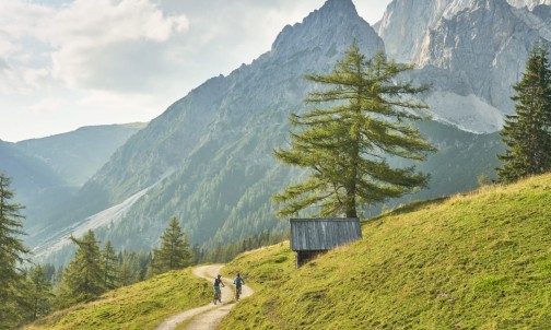 Biken in Ramsau am Dachstein © Schladming-Dachstein, Peter Burgstaller