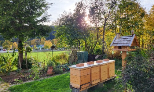 Bienenstöcke in unserem Garten